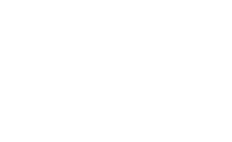 Konectica